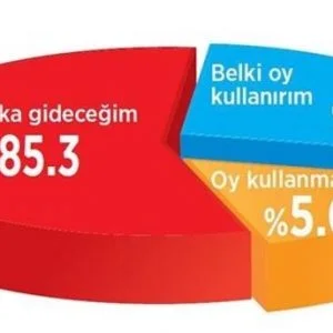 استطلاع: 85% من الشعب التركي سوف يشارك في الاستفتاء المقبل حول الدستور