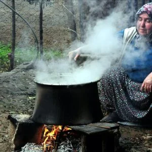 شوربة “عشبة الثعبان” طبق رئيسي على موائد الأتراك شرقي المتوسط