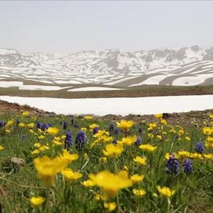 “أغري غول”.. بحيرة تركية تتيح لزوارها التنزه وسط الأزهار والثلوج والأنهار معاً