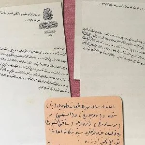 وثائق تظهر إرسال السلطان عبد الحميد مساعدة مالية إلى ألمانيا