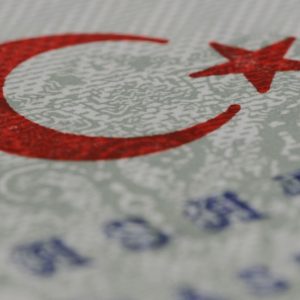 سفارة فلسطين في تركيا: تأشيرة الدخول الالكترونية ليست لجميع الفلسطينيين