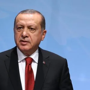 أردوغان يبحث مع الرئيس الألماني تحسين العلاقات