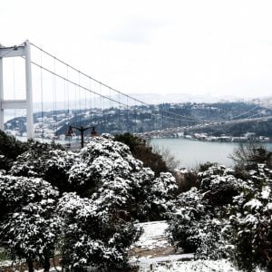 شاهد بالصور | الزائر الأبيض يزين معالم مدينة إسطنبول