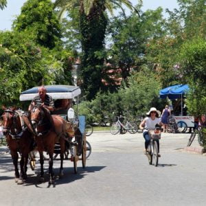 اسطنبول تستبدل عربات الخيول بمركبات كهربائية.. هناك خبر مفرح اخر