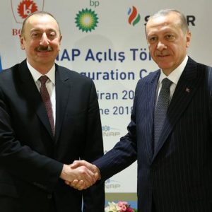 أردوغان يلتقي نظيريه الأذري والصربي
