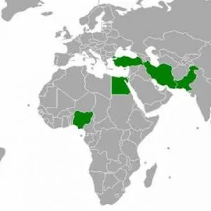 مجموعة الثماني الإسلامية تستجيب لدعوة تركيا