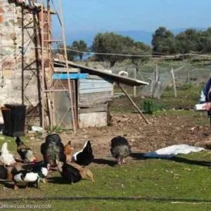 تركي وزوجته يختاران “أغرب حياة”