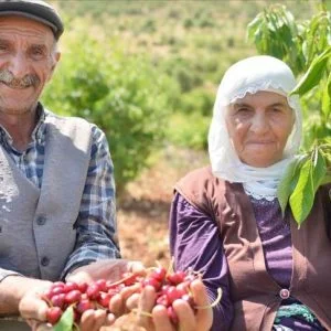 “نابليون التركي”..ينتظر مريديه على الأغصان!