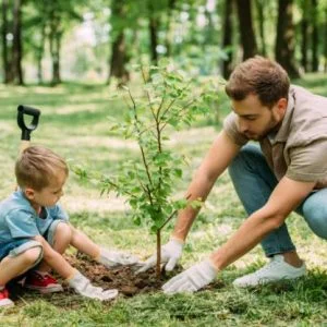 تركيا تزرع 11 مليون شجرة خلال 3 ساعات لهذا السبب