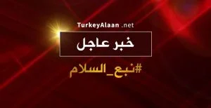 عاجل… قوات “نبع السلام” تسيطر علي قريتين شرق وغرب مدينة تل أبيض