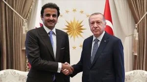 أردوغان وأمير قطر يبحثان العلاقات الاستراتيجية بين البلدين