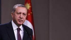 أردوغان: سيطرنا على معظم حرائق الغابات