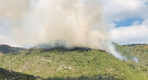 حريق ضخم في غابات أنطاليا