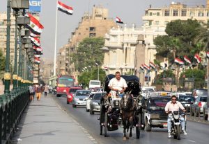 مصر.. شاب يطعن خطيبته وسط الشارع