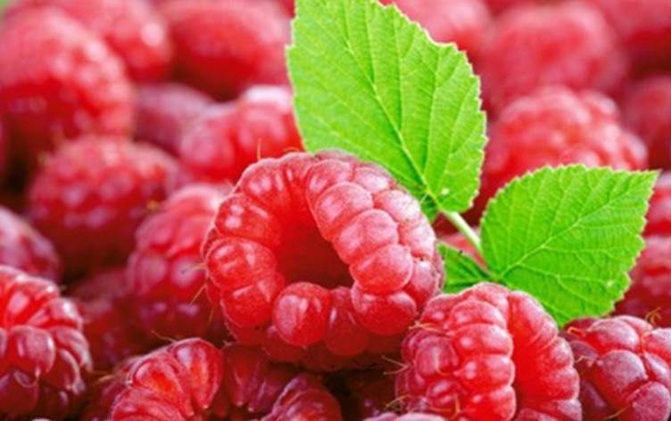 The 10 Amazing Health Benefits of Eating Red Berries Daily